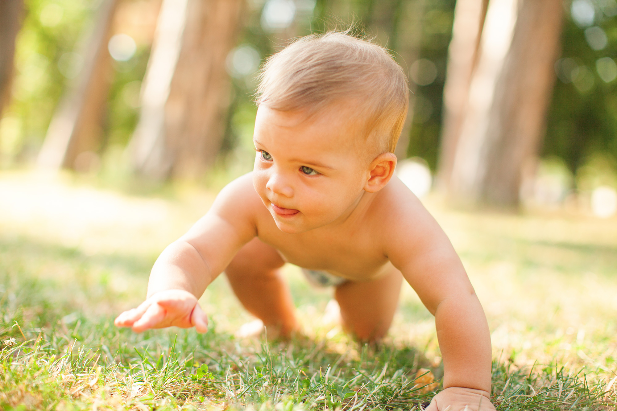 baby diapers aplix