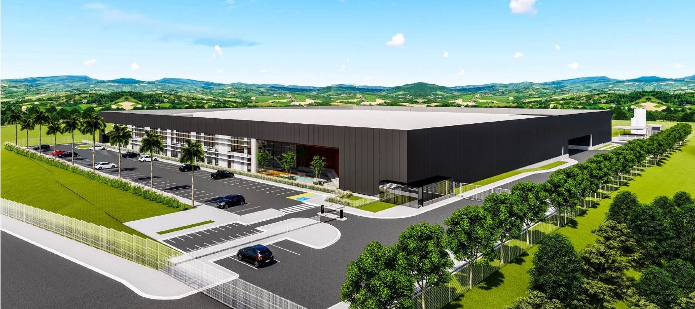 Parafix new plant