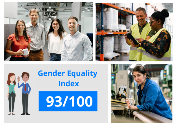 gender equality index score APLIX 2025