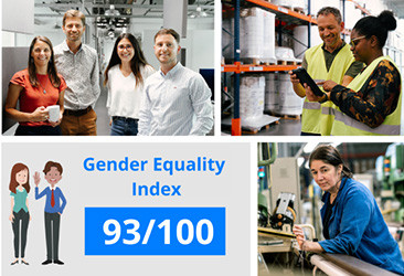 Gender equality Index score APLIX 2025